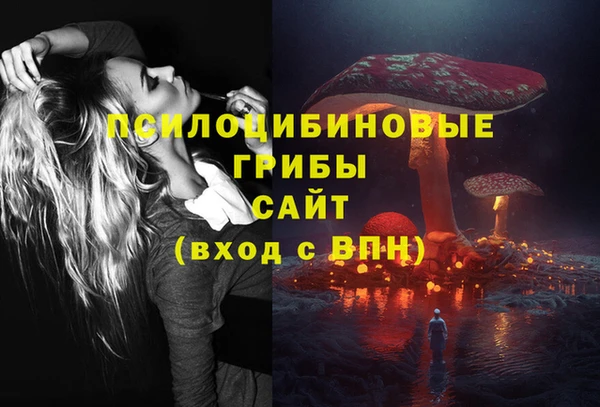 прущая мука Няндома