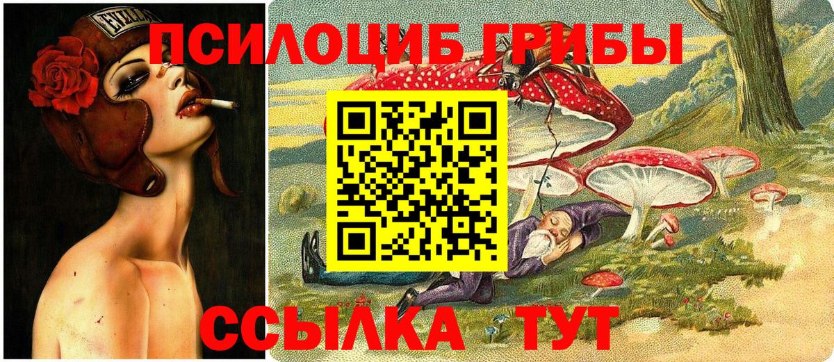 Галлюциногенные грибы MAGIC MUSHROOMS  Вход с VPN  Красноармейск  Галлюциногенные грибы GOLDEN TEACHER 